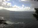 ./images/koeye/fitz-hugh/20200829/fitz-hugh20200829_141501.jpg