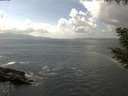 ./images/koeye/fitz-hugh/20200829/fitz-hugh20200829_144501.jpg