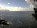 ./images/koeye/fitz-hugh/20200829/fitz-hugh20200829_150501.jpg