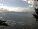 ./images/koeye/fitz-hugh/20200829/fitz-hugh20200829_151501.jpg