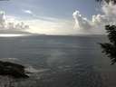 ./images/koeye/fitz-hugh/20200829/fitz-hugh20200829_154002.jpg