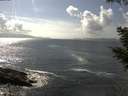 ./images/koeye/fitz-hugh/20200829/fitz-hugh20200829_154502.jpg