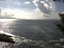 ./images/koeye/fitz-hugh/20200829/fitz-hugh20200829_155002.jpg