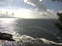 ./images/koeye/fitz-hugh/20200829/fitz-hugh20200829_155502.jpg