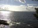 ./images/koeye/fitz-hugh/20200829/fitz-hugh20200829_160002.jpg
