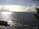 ./images/koeye/fitz-hugh/20200829/fitz-hugh20200829_160502.jpg
