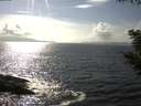 ./images/koeye/fitz-hugh/20200829/fitz-hugh20200829_161002.jpg