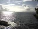 ./images/koeye/fitz-hugh/20200829/fitz-hugh20200829_161502.jpg