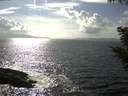./images/koeye/fitz-hugh/20200829/fitz-hugh20200829_162002.jpg