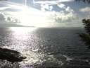 ./images/koeye/fitz-hugh/20200829/fitz-hugh20200829_162502.jpg