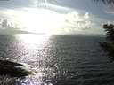 ./images/koeye/fitz-hugh/20200829/fitz-hugh20200829_163501.jpg