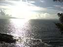 ./images/koeye/fitz-hugh/20200829/fitz-hugh20200829_164001.jpg