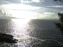 ./images/koeye/fitz-hugh/20200829/fitz-hugh20200829_164501.jpg
