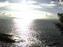 ./images/koeye/fitz-hugh/20200829/fitz-hugh20200829_165501.jpg