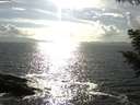 ./images/koeye/fitz-hugh/20200829/fitz-hugh20200829_170501.jpg