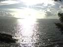 ./images/koeye/fitz-hugh/20200829/fitz-hugh20200829_171001.jpg