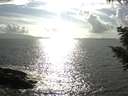 ./images/koeye/fitz-hugh/20200829/fitz-hugh20200829_171501.jpg