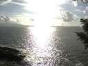 ./images/koeye/fitz-hugh/20200829/fitz-hugh20200829_172001.jpg