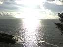 ./images/koeye/fitz-hugh/20200829/fitz-hugh20200829_172501.jpg