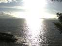 ./images/koeye/fitz-hugh/20200829/fitz-hugh20200829_174001.jpg