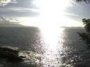 ./images/koeye/fitz-hugh/20200829/fitz-hugh20200829_174501.jpg