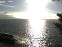 ./images/koeye/fitz-hugh/20200829/fitz-hugh20200829_175001.jpg