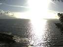 ./images/koeye/fitz-hugh/20200829/fitz-hugh20200829_175501.jpg