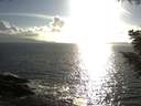 ./images/koeye/fitz-hugh/20200829/fitz-hugh20200829_181001.jpg