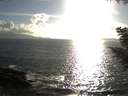 ./images/koeye/fitz-hugh/20200829/fitz-hugh20200829_181501.jpg