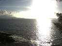 ./images/koeye/fitz-hugh/20200829/fitz-hugh20200829_182001.jpg