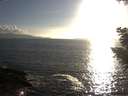 ./images/koeye/fitz-hugh/20200829/fitz-hugh20200829_184502.jpg