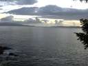 ./images/koeye/fitz-hugh/20200829/fitz-hugh20200829_203501.jpg