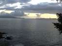 ./images/koeye/fitz-hugh/20200829/fitz-hugh20200829_204001.jpg
