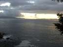 ./images/koeye/fitz-hugh/20200829/fitz-hugh20200829_204501.jpg