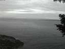 ./images/koeye/fitz-hugh/20200830/fitz-hugh20200830_060002.jpg