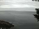 ./images/koeye/fitz-hugh/20200830/fitz-hugh20200830_060502.jpg