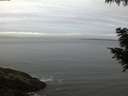 ./images/koeye/fitz-hugh/20200830/fitz-hugh20200830_062502.jpg