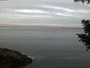 ./images/koeye/fitz-hugh/20200830/fitz-hugh20200830_063502.jpg