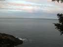 ./images/koeye/fitz-hugh/20200830/fitz-hugh20200830_064002.jpg