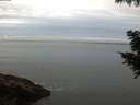 ./images/koeye/fitz-hugh/20200830/fitz-hugh20200830_064502.jpg