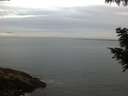 ./images/koeye/fitz-hugh/20200830/fitz-hugh20200830_065502.jpg