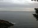 ./images/koeye/fitz-hugh/20200830/fitz-hugh20200830_070502.jpg