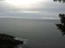 ./images/koeye/fitz-hugh/20200830/fitz-hugh20200830_072001.jpg