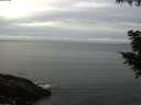 ./images/koeye/fitz-hugh/20200830/fitz-hugh20200830_072501.jpg