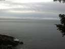 ./images/koeye/fitz-hugh/20200830/fitz-hugh20200830_073501.jpg