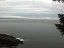 ./images/koeye/fitz-hugh/20200830/fitz-hugh20200830_074501.jpg