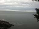 ./images/koeye/fitz-hugh/20200830/fitz-hugh20200830_075001.jpg