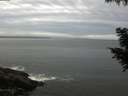 ./images/koeye/fitz-hugh/20200830/fitz-hugh20200830_075501.jpg