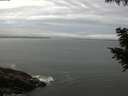 ./images/koeye/fitz-hugh/20200830/fitz-hugh20200830_080001.jpg