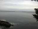 ./images/koeye/fitz-hugh/20200830/fitz-hugh20200830_082001.jpg